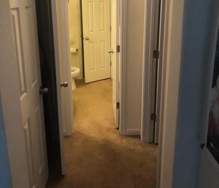 Wet carpet in hallway doors open showing the wet carpet