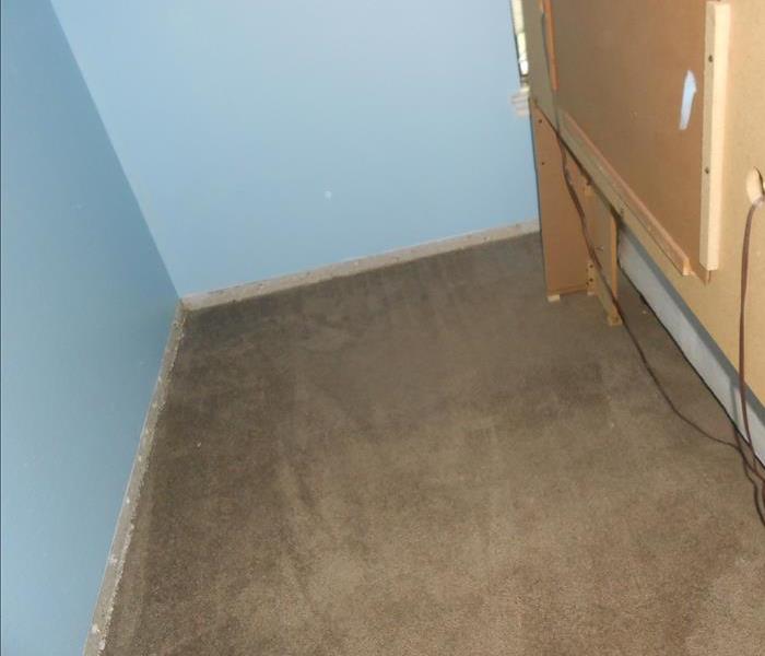 Dried brown carpet with blue wall