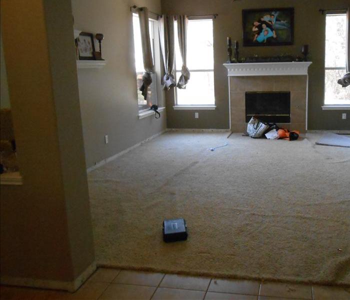 Emptied living room with dry beige carpet