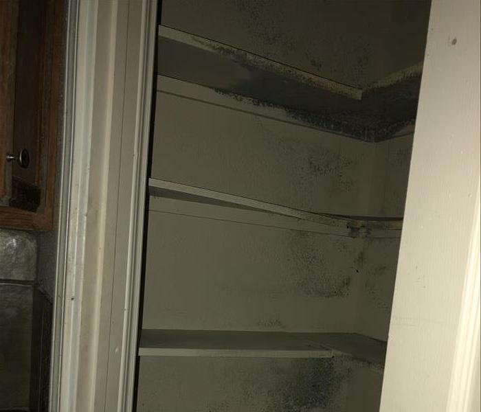 Empty pantry with microbial growth on walls