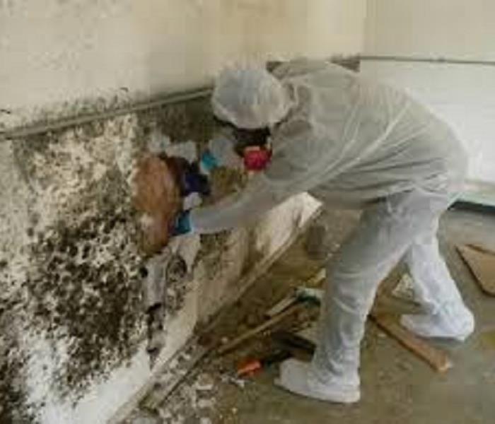 Worker in full PPE protection with a face mask cleaning mold on a wall