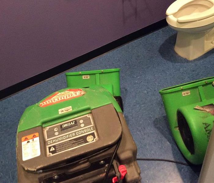 Two green air movers and a green dehumidifier in a bathroom, bathroom wall is purple