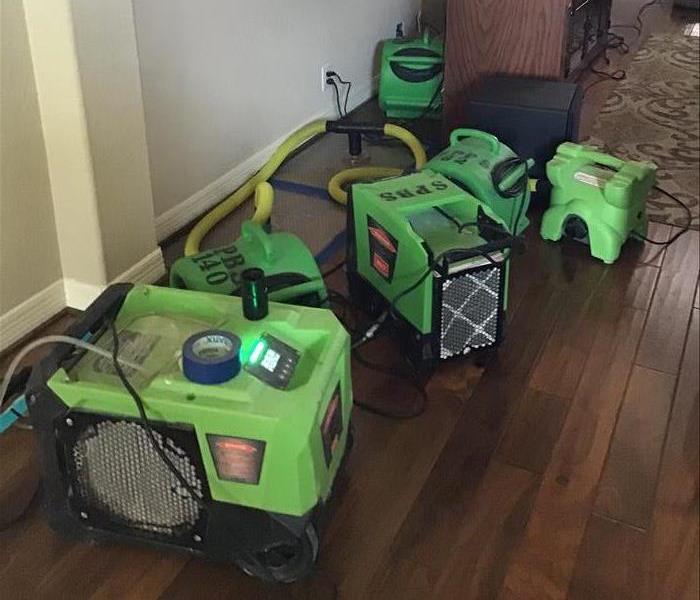 Six pieces of green drying equipment in a room with hardwood flooring