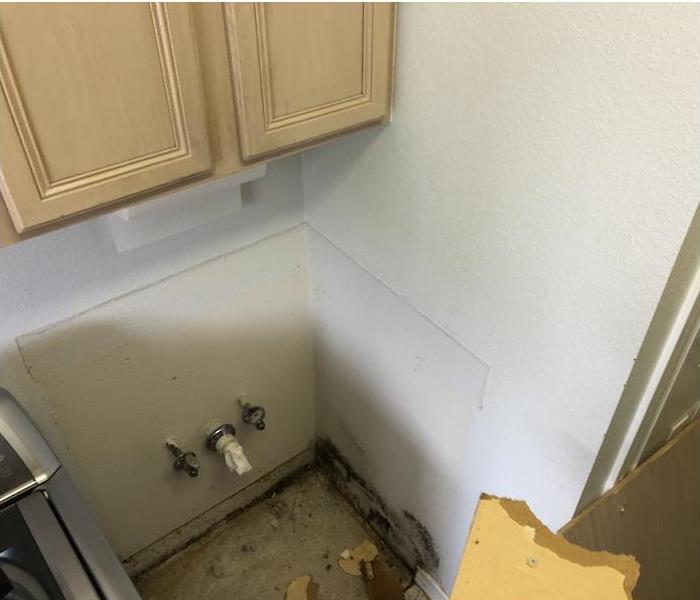 Mold damage around wall with water connections sticking out below cabinets