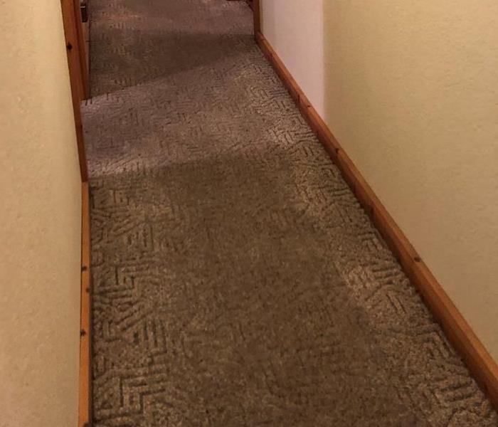 Wet carpet in a hallway