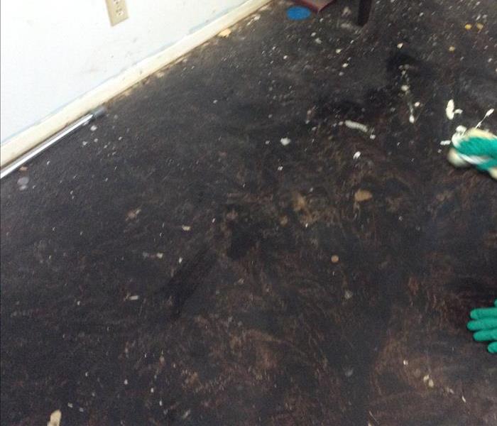 Black floor due to mold