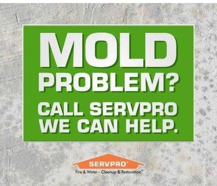 Mold Problem?  Call SERVPRO we can help sign.