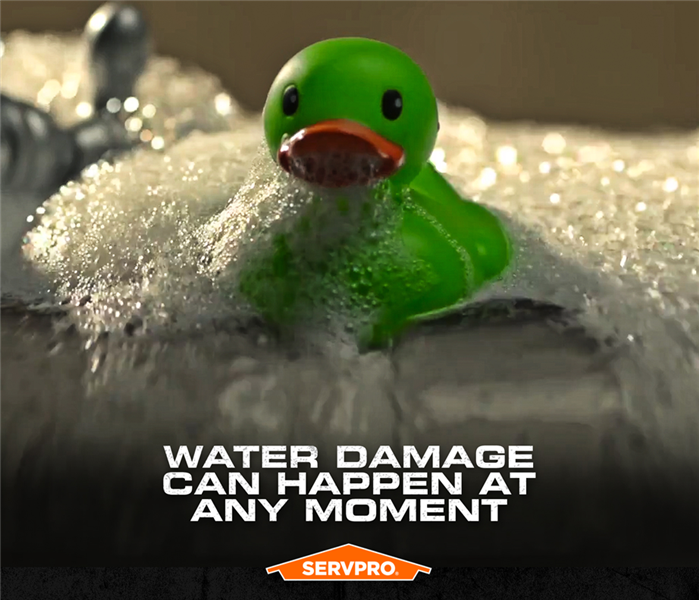 Green rubber duck surrounded by bubbles and water.