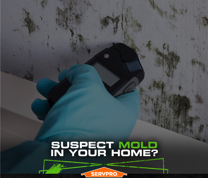 SERVPRO tech wearing a glove using a moisture meter on a mold infested wall.